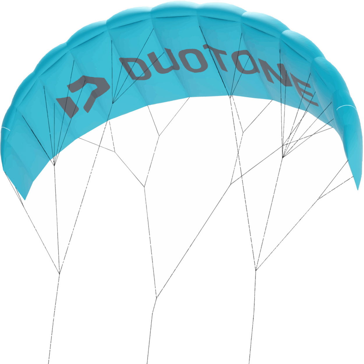 Duotone Trainer Lizard without leash 2025