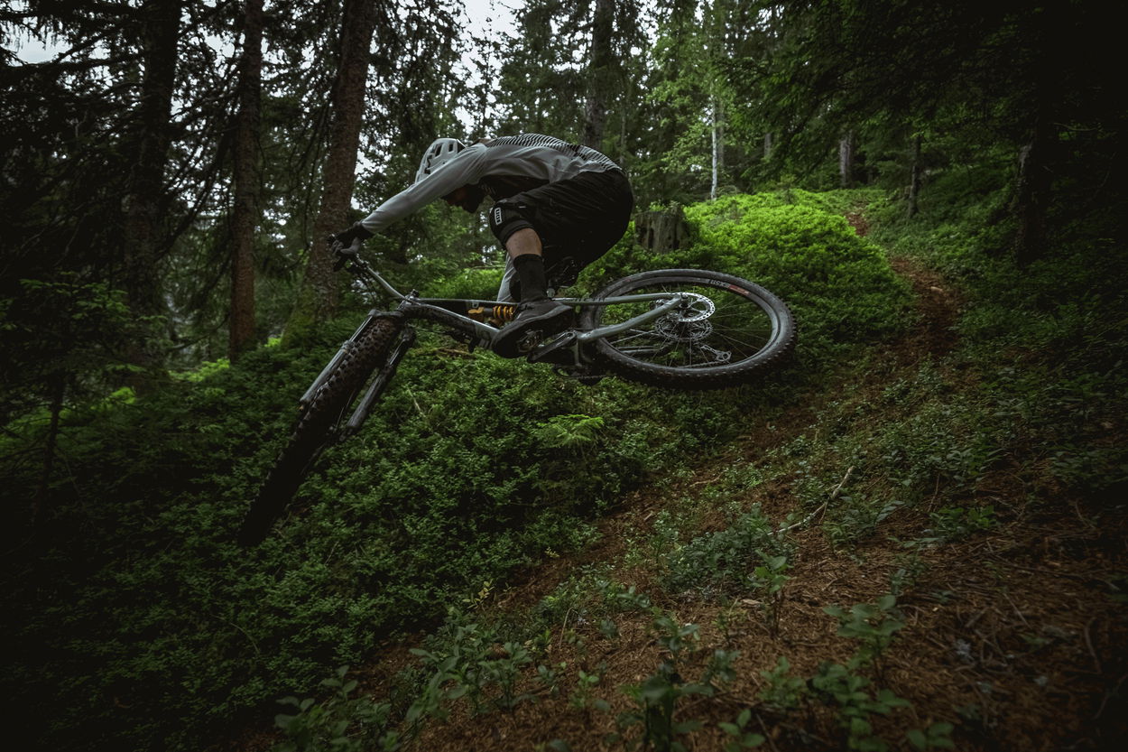 action_shot