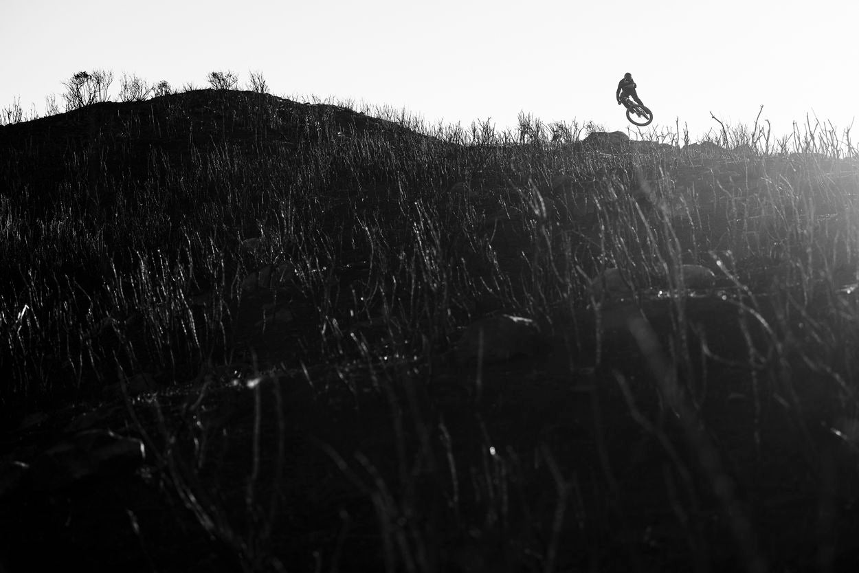 action_shot